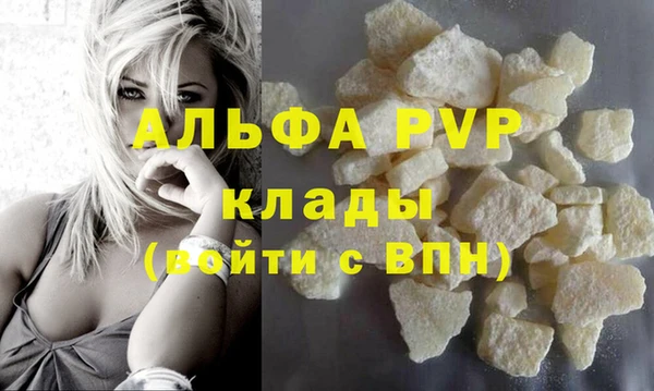 молекула духа Алексин