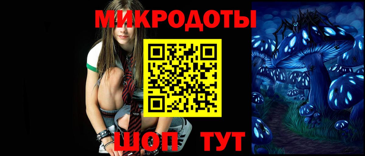 Томск  Галлюциногенные грибы Psilocybe  Вход с VPN 